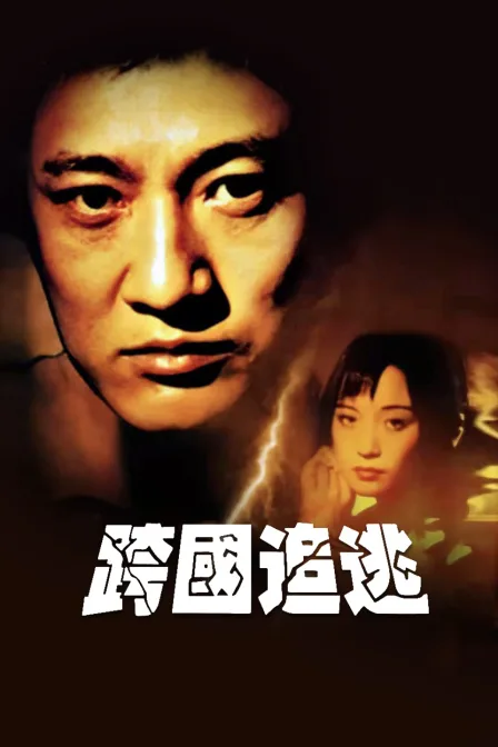 跨国追逃