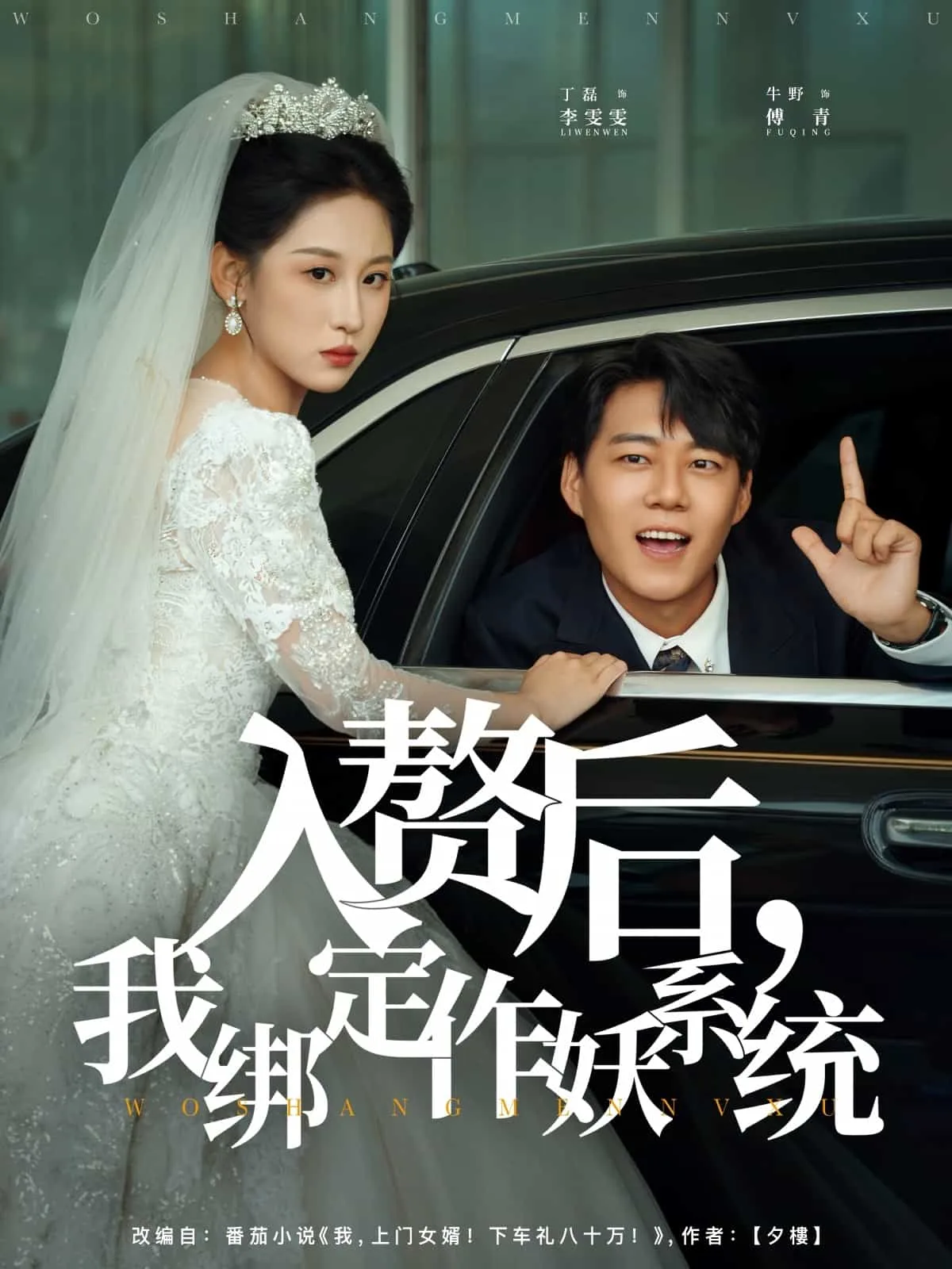入赘后我绑定作妖系统