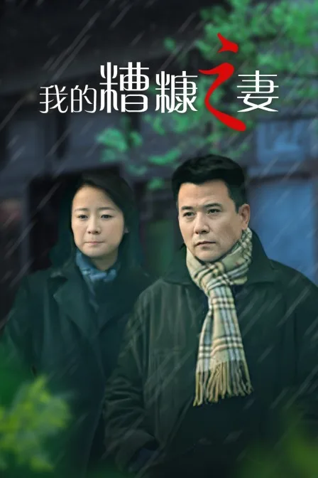 我的糟糠之妻
