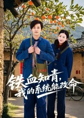 铁血知青,我的系统能改命
