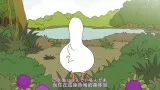 鸭子的生活