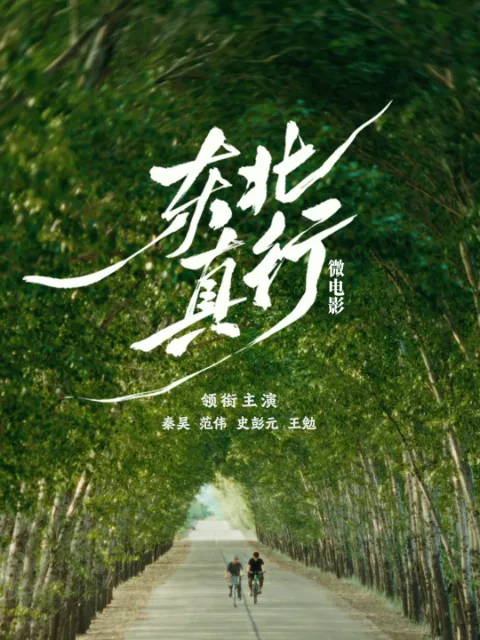 东北真行