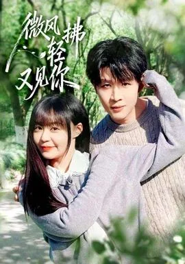 微风轻拂又见你