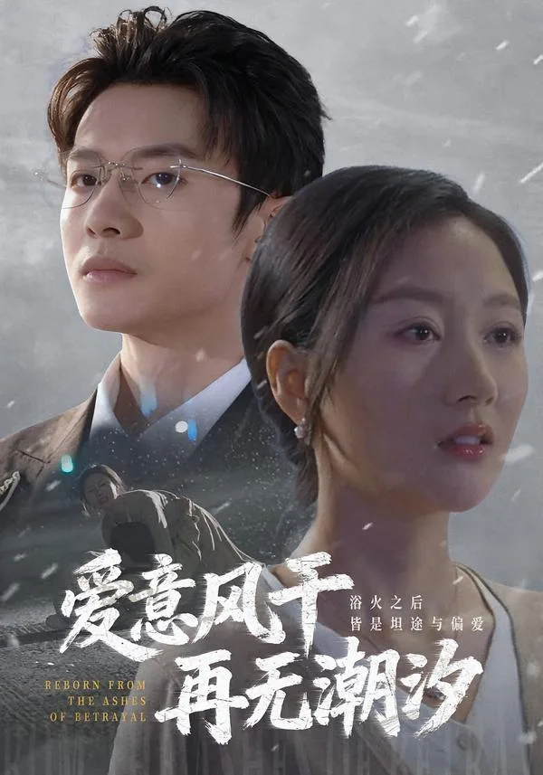 爱意风干再无潮汐