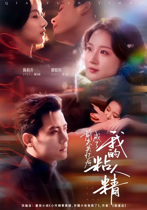 前夫失忆后,成了我的粘人精