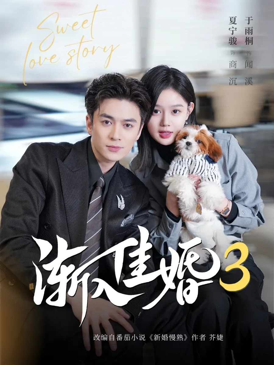 渐入佳婚3第三部