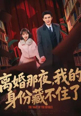 离婚那夜，我的身份藏不住了