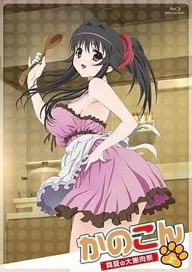 我的狐仙女友:真夏的大谢肉祭上